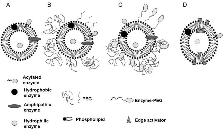 https://cdn.ncbi.nlm.nih.gov/pmc/blobs/4cf6/8954053/571ff45bcdfb/pharmaceutics-14-00531-g001.jpg