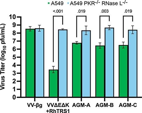 https://cdn.ncbi.nlm.nih.gov/pmc/blobs/4cf7/9724558/1f8ff17cd304/veac105f4.jpg