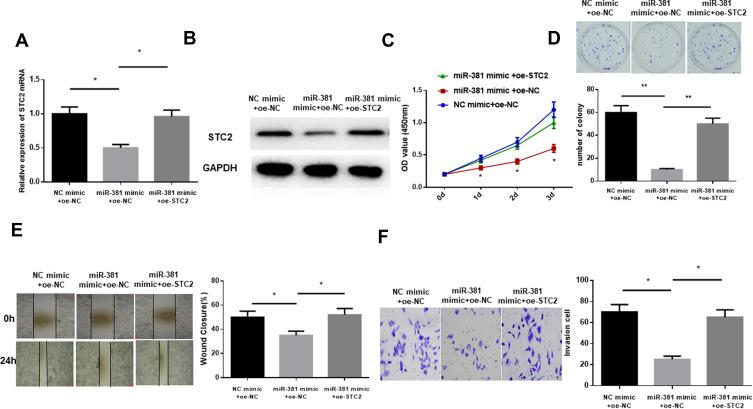 https://cdn.ncbi.nlm.nih.gov/pmc/blobs/4cf9/7247612/36ac2972694e/OTT-13-4485-g0004.jpg