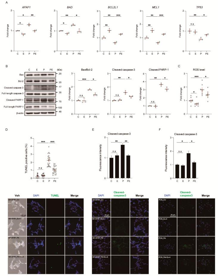 https://cdn.ncbi.nlm.nih.gov/pmc/blobs/4cfd/7827489/0f63971ef684/antioxidants-10-00078-g001.jpg