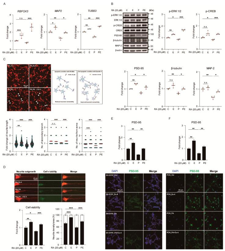https://cdn.ncbi.nlm.nih.gov/pmc/blobs/4cfd/7827489/6b63f47048b5/antioxidants-10-00078-g004.jpg