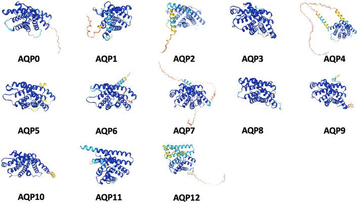https://cdn.ncbi.nlm.nih.gov/pmc/blobs/4cfe/11814447/3c4a60b13af1/fnins-19-1518967-g0001.jpg