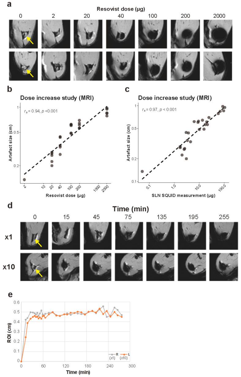 https://cdn.ncbi.nlm.nih.gov/pmc/blobs/4cff/8508039/01e3a8439ab3/cancers-13-05031-g004.jpg