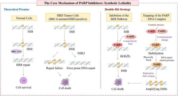 https://cdn.ncbi.nlm.nih.gov/pmc/blobs/4d00/12142329/8c2785f4312b/gr1.jpg