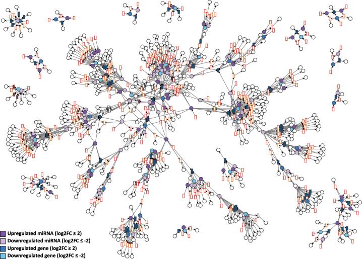 https://cdn.ncbi.nlm.nih.gov/pmc/blobs/4d00/12327202/d7537e4eeaa0/j_jib-2024-0037_fig_006.jpg
