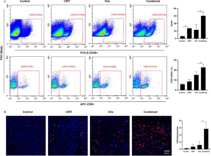 https://cdn.ncbi.nlm.nih.gov/pmc/blobs/4d01/10991892/0790c6d1be76/262_2023_3544_Fig2_HTML.jpg