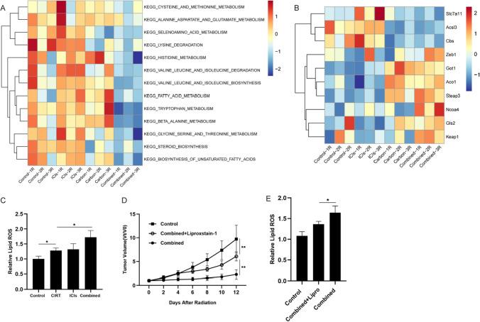 https://cdn.ncbi.nlm.nih.gov/pmc/blobs/4d01/10991892/5860344745f1/262_2023_3544_Fig6_HTML.jpg