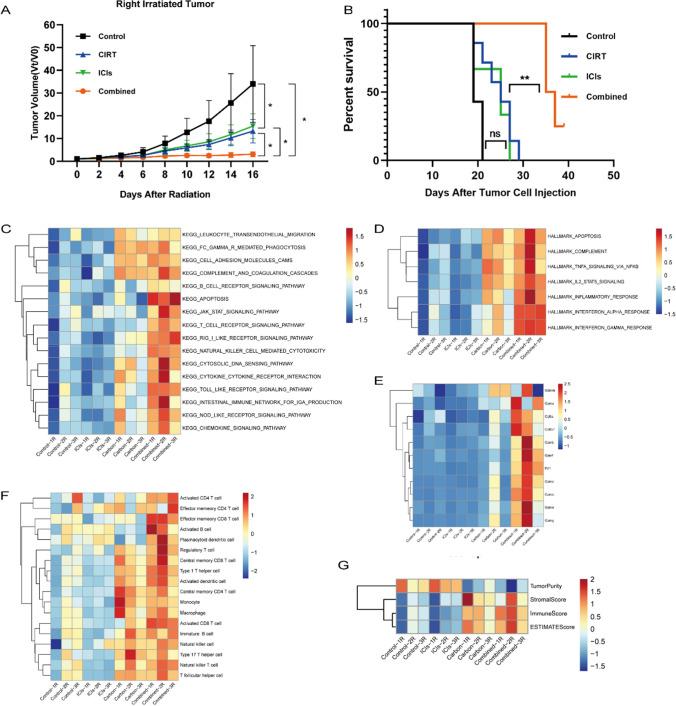 https://cdn.ncbi.nlm.nih.gov/pmc/blobs/4d01/10991892/5b140dee6f64/262_2023_3544_Fig1_HTML.jpg