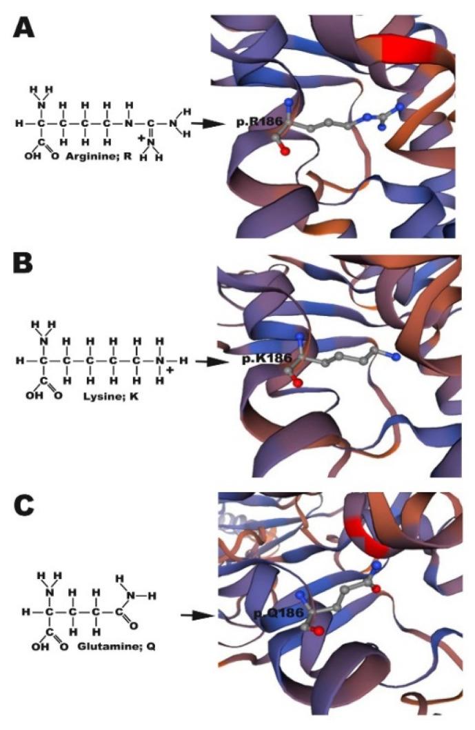 https://cdn.ncbi.nlm.nih.gov/pmc/blobs/4d03/7290585/0a9b6283c61d/cells-09-01291-g001.jpg