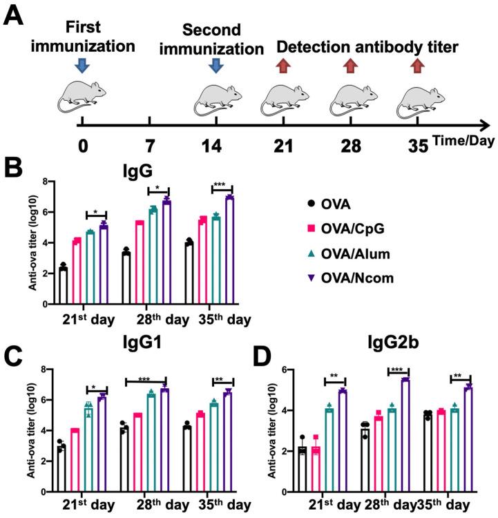 https://cdn.ncbi.nlm.nih.gov/pmc/blobs/4d03/8171104/238718b33f5b/thnov11p6936g005.jpg