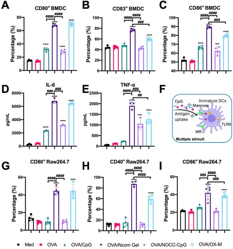 https://cdn.ncbi.nlm.nih.gov/pmc/blobs/4d03/8171104/484e6239973f/thnov11p6936g004.jpg
