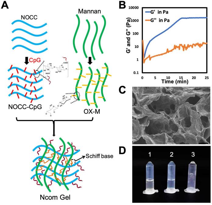 https://cdn.ncbi.nlm.nih.gov/pmc/blobs/4d03/8171104/574a7c727475/thnov11p6936g002.jpg