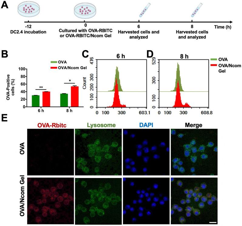 https://cdn.ncbi.nlm.nih.gov/pmc/blobs/4d03/8171104/9c2143fcafc9/thnov11p6936g003.jpg