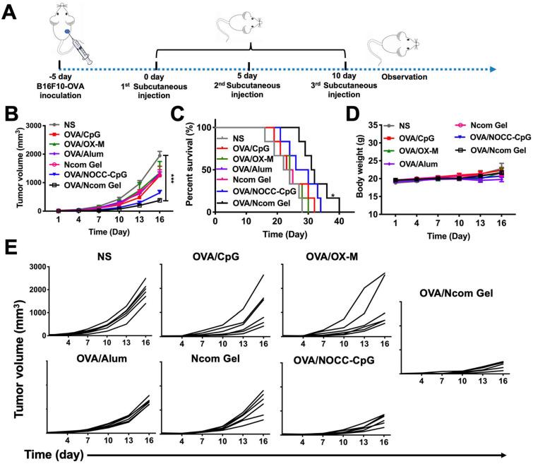 https://cdn.ncbi.nlm.nih.gov/pmc/blobs/4d03/8171104/cae350e84cb5/thnov11p6936g007.jpg