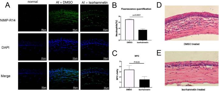 https://cdn.ncbi.nlm.nih.gov/pmc/blobs/4d04/8010362/0a74b4ab7009/iovs-62-3-38-f004.jpg