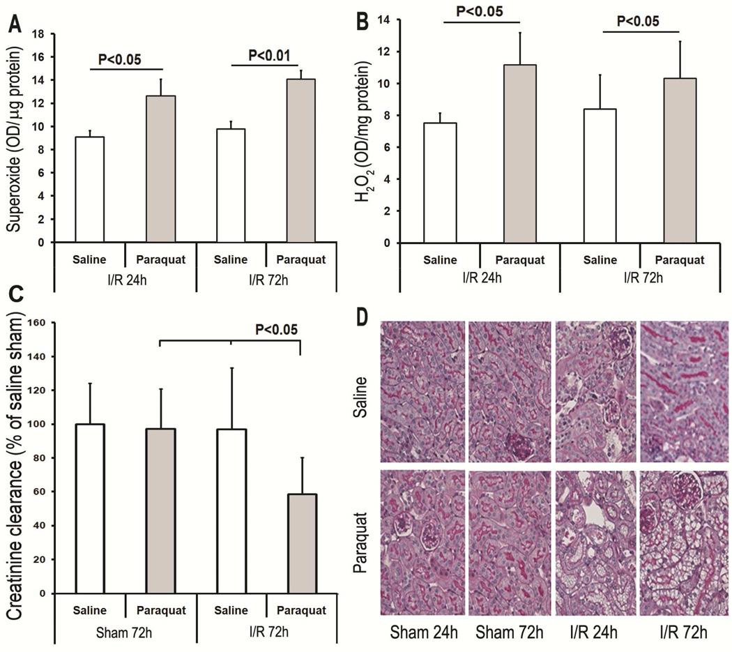 https://cdn.ncbi.nlm.nih.gov/pmc/blobs/4d0a/3443530/381e25d15975/nihms376102f9.jpg