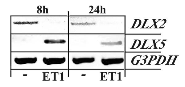 https://cdn.ncbi.nlm.nih.gov/pmc/blobs/4d0b/3003273/866d67f0fa25/1471-2407-10-649-4.jpg