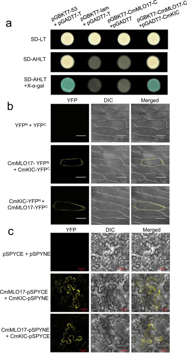 https://cdn.ncbi.nlm.nih.gov/pmc/blobs/4d0b/8087703/4da0396b0911/41438_2021_534_Fig5_HTML.jpg