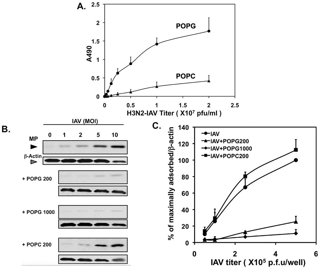 https://cdn.ncbi.nlm.nih.gov/pmc/blobs/4d0b/9050941/6b174e34cc0f/nihms-1787770-f0008.jpg