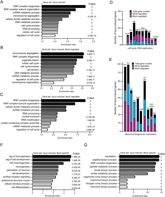 https://cdn.ncbi.nlm.nih.gov/pmc/blobs/4d0c/11369687/adc148be2194/develop-151-203062-g5.jpg