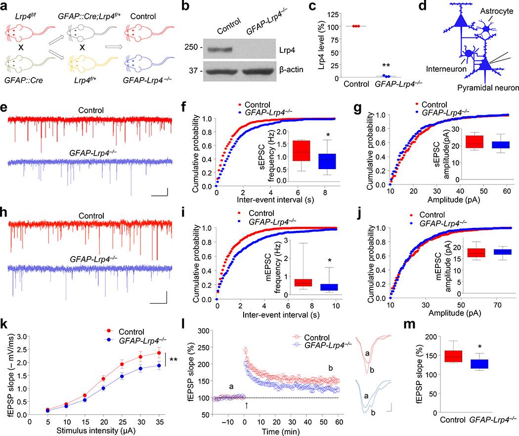https://cdn.ncbi.nlm.nih.gov/pmc/blobs/4d0c/4961622/35d77fa2c3d1/nihms788505f1.jpg