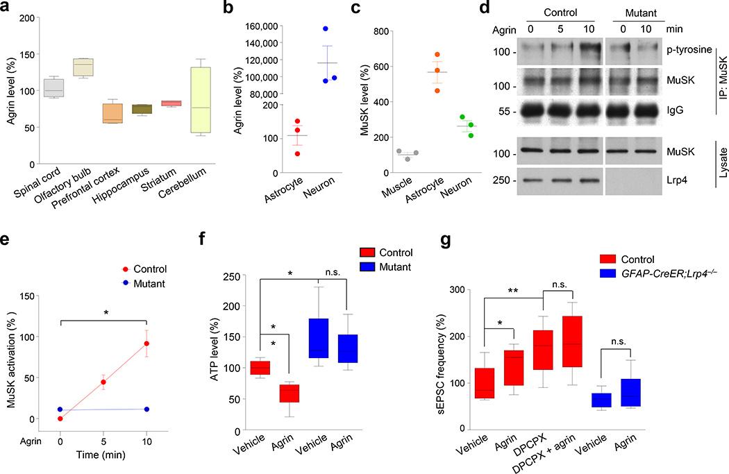 https://cdn.ncbi.nlm.nih.gov/pmc/blobs/4d0c/4961622/5ad10e81b4b8/nihms788505f6.jpg