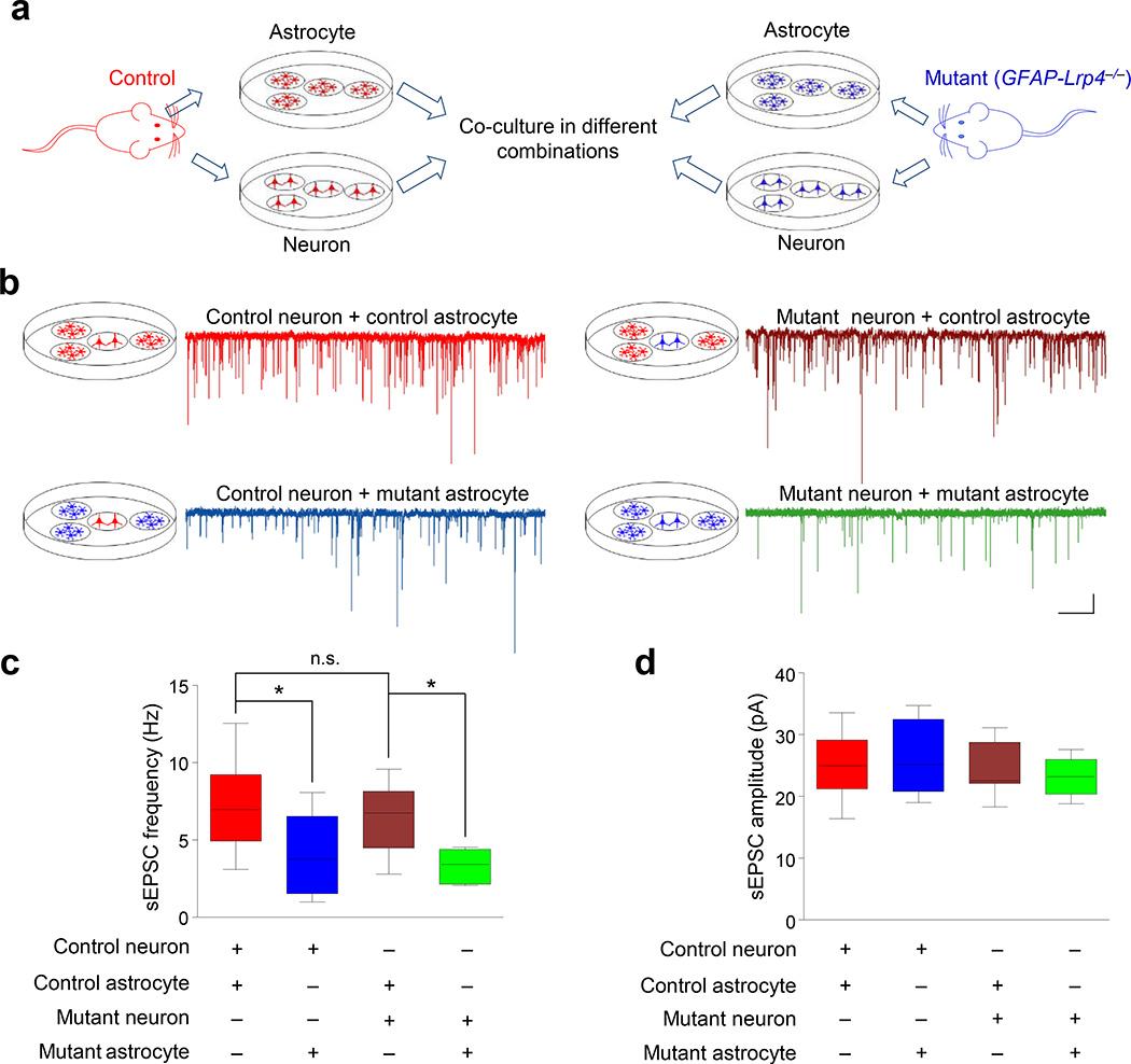 https://cdn.ncbi.nlm.nih.gov/pmc/blobs/4d0c/4961622/74ea835f8923/nihms788505f4.jpg