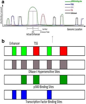 https://cdn.ncbi.nlm.nih.gov/pmc/blobs/4d0c/4977478/9e13d633adf1/12918_2016_302_Fig1_HTML.jpg