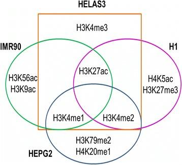 https://cdn.ncbi.nlm.nih.gov/pmc/blobs/4d0c/4977478/e8bf6b4e46f7/12918_2016_302_Fig3_HTML.jpg