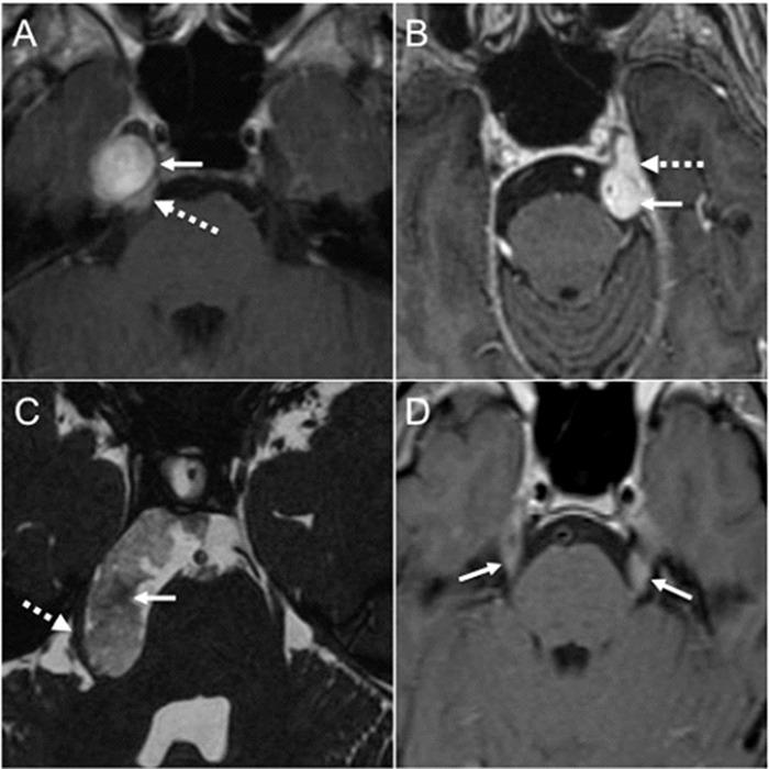 https://cdn.ncbi.nlm.nih.gov/pmc/blobs/4d0c/5750829/746ab24c343a/jiufd-051-s062-e004.jpg