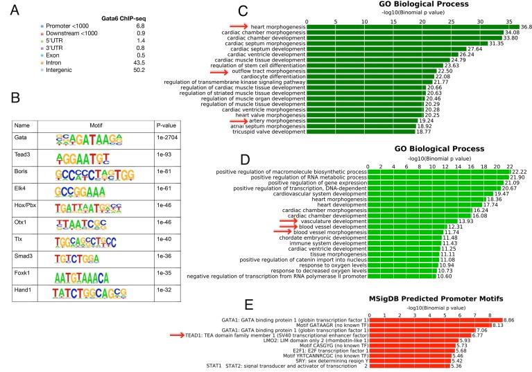 https://cdn.ncbi.nlm.nih.gov/pmc/blobs/4d10/5630260/aad8cb76e55b/elife-31362-fig4-figsupp1.jpg