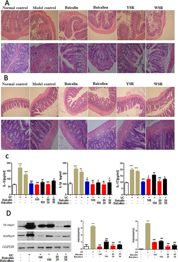 https://cdn.ncbi.nlm.nih.gov/pmc/blobs/4d10/6923254/0e5830369d00/fphar-10-01466-g006.jpg
