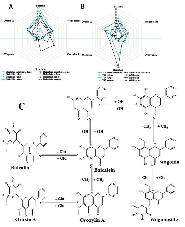 https://cdn.ncbi.nlm.nih.gov/pmc/blobs/4d10/6923254/ba457dfcff4b/fphar-10-01466-g007.jpg