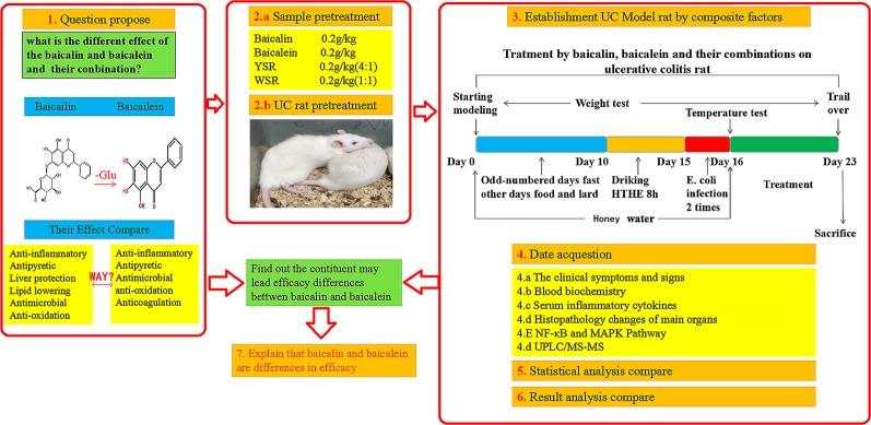 https://cdn.ncbi.nlm.nih.gov/pmc/blobs/4d10/6923254/cb7465b42ecc/fphar-10-01466-g002.jpg