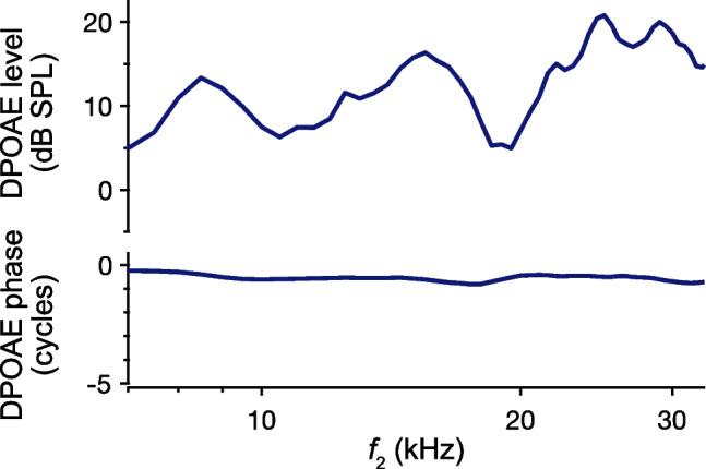 https://cdn.ncbi.nlm.nih.gov/pmc/blobs/4d11/11861815/cec11f6e8e25/10162_2025_974_Fig9_HTML.jpg