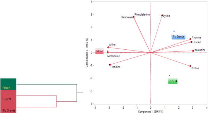 https://cdn.ncbi.nlm.nih.gov/pmc/blobs/4d12/11167710/665a9fd321ba/j_biol-2022-0892-fig003.jpg