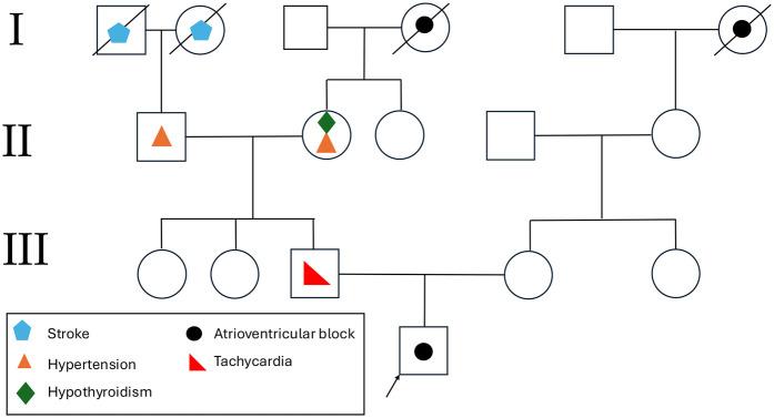 https://cdn.ncbi.nlm.nih.gov/pmc/blobs/4d14/12006191/36bdf5bbd31a/fcvm-12-1552423-g004.jpg