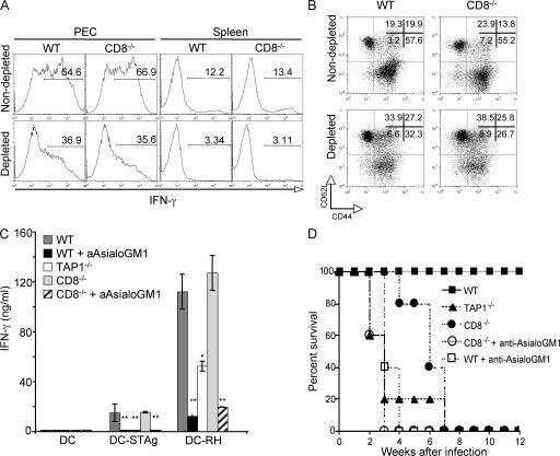 https://cdn.ncbi.nlm.nih.gov/pmc/blobs/4d14/2118487/bedc0e8bb0d2/jem2042591f04.jpg