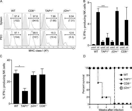https://cdn.ncbi.nlm.nih.gov/pmc/blobs/4d14/2118487/cb76afa40cf9/jem2042591f07.jpg