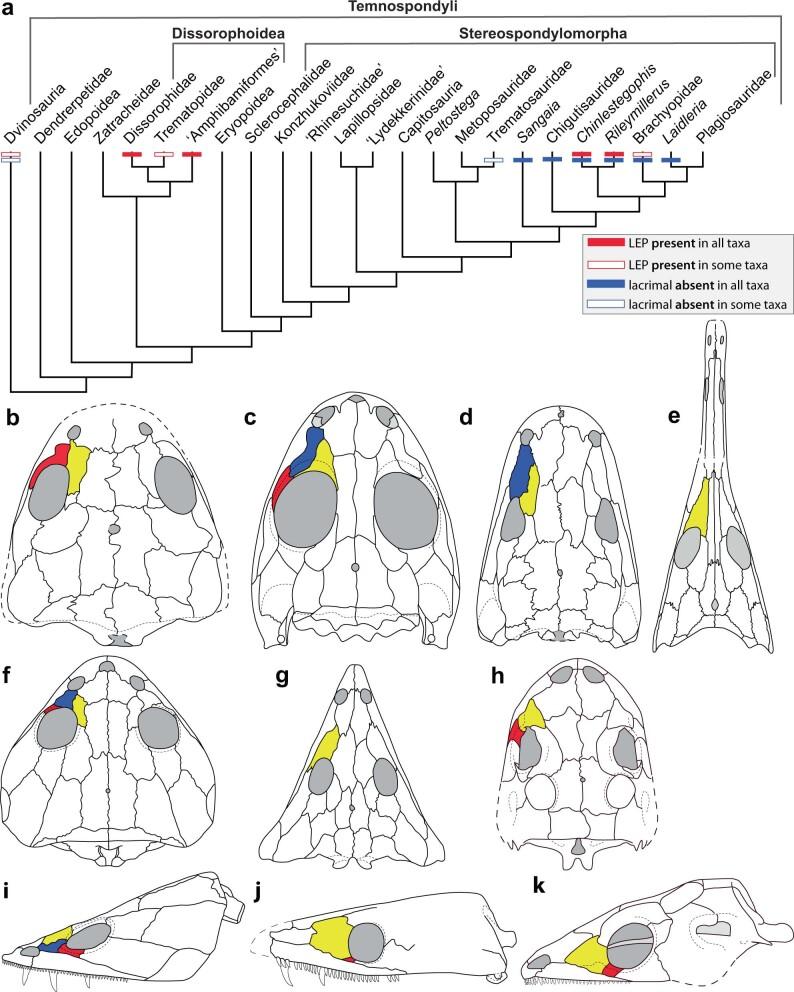 https://cdn.ncbi.nlm.nih.gov/pmc/blobs/4d15/9892002/40eb5dc68624/41586_2022_5646_Fig12_ESM.jpg