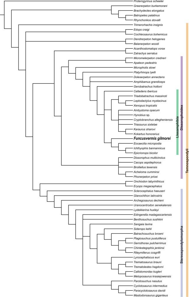 https://cdn.ncbi.nlm.nih.gov/pmc/blobs/4d15/9892002/7ee4b47d1f49/41586_2022_5646_Fig8_ESM.jpg