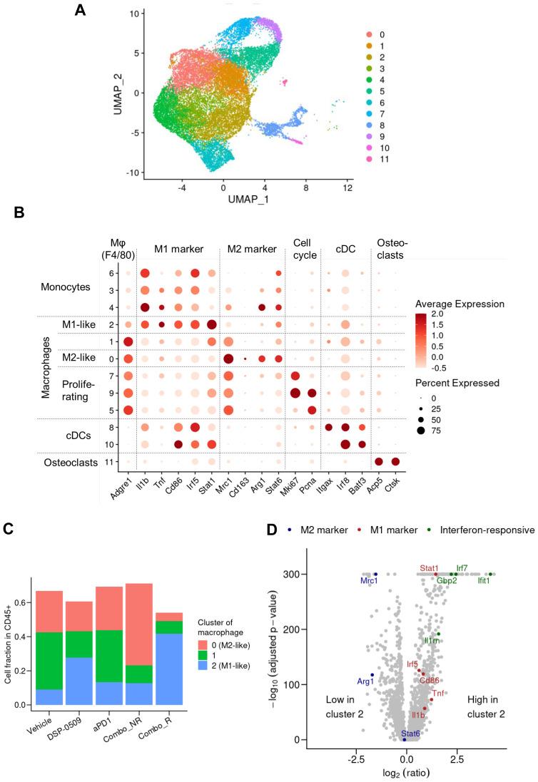 https://cdn.ncbi.nlm.nih.gov/pmc/blobs/4d16/11427241/0a0ce052bddb/fonc-14-1410373-g005.jpg