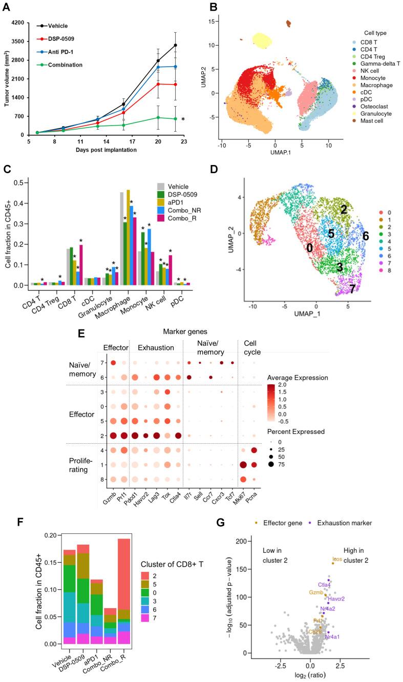 https://cdn.ncbi.nlm.nih.gov/pmc/blobs/4d16/11427241/9baa1e703c94/fonc-14-1410373-g004.jpg