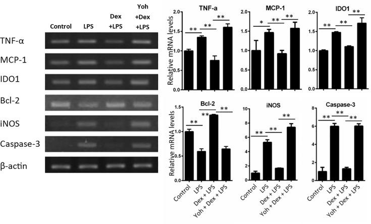 https://cdn.ncbi.nlm.nih.gov/pmc/blobs/4d16/5774758/eff42c36eec7/pone.0191070.g005.jpg