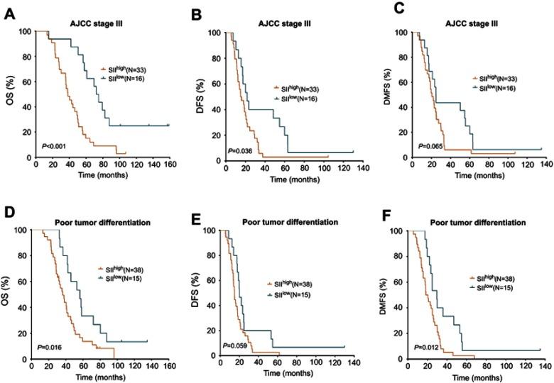 https://cdn.ncbi.nlm.nih.gov/pmc/blobs/4d16/6526193/df25aa77722a/CMAR-11-4471-g0002.jpg