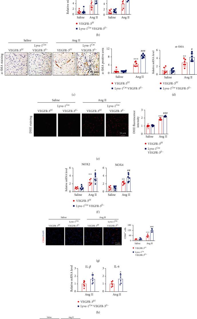https://cdn.ncbi.nlm.nih.gov/pmc/blobs/4d18/8881141/42bee8f074c9/OMCL2022-5044046.004.jpg