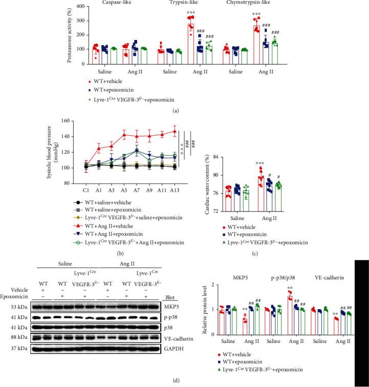 https://cdn.ncbi.nlm.nih.gov/pmc/blobs/4d18/8881141/576412ab724b/OMCL2022-5044046.007.jpg