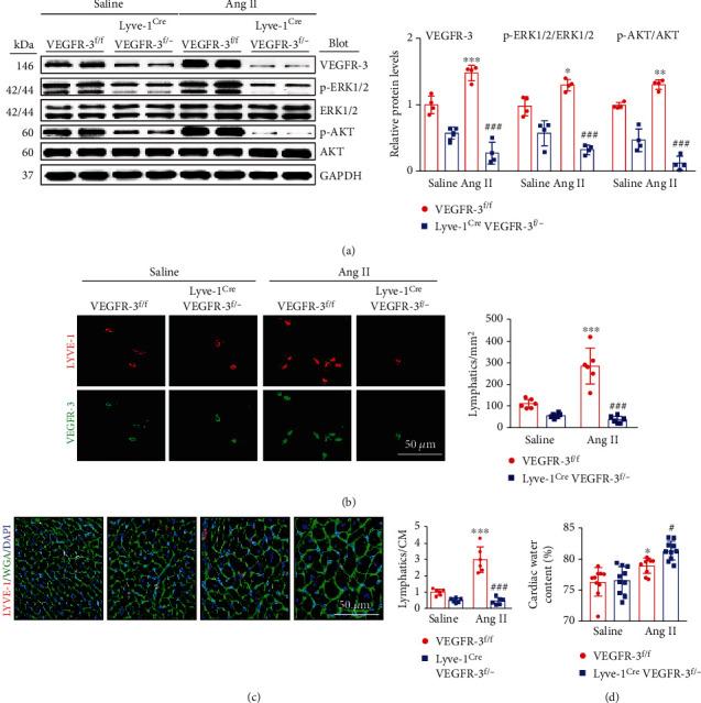 https://cdn.ncbi.nlm.nih.gov/pmc/blobs/4d18/8881141/a2d4850f4476/OMCL2022-5044046.002.jpg