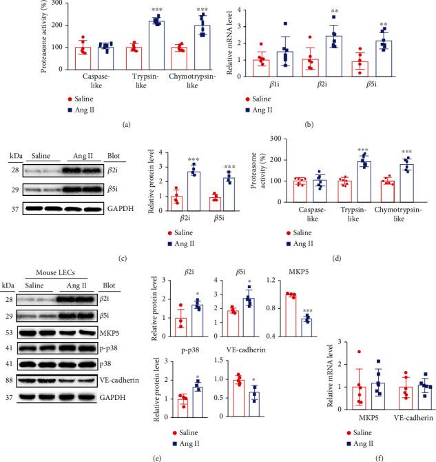 https://cdn.ncbi.nlm.nih.gov/pmc/blobs/4d18/8881141/af90b8519dab/OMCL2022-5044046.005.jpg