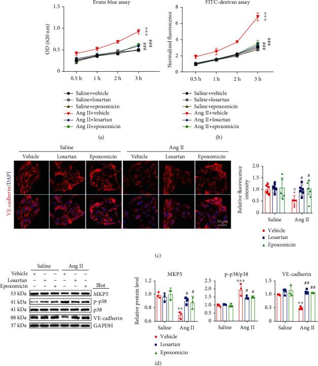 https://cdn.ncbi.nlm.nih.gov/pmc/blobs/4d18/8881141/b6f1a81e7741/OMCL2022-5044046.006.jpg